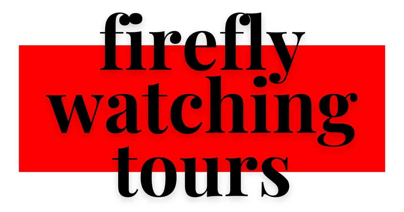Firefly Tour Bali