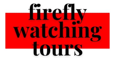 Bali Firefly Watching Tour